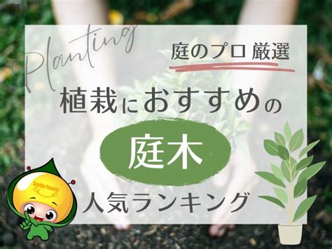 樹木植栽|植栽におすすめの庭木 人気ランキング【庭のプロ厳選】